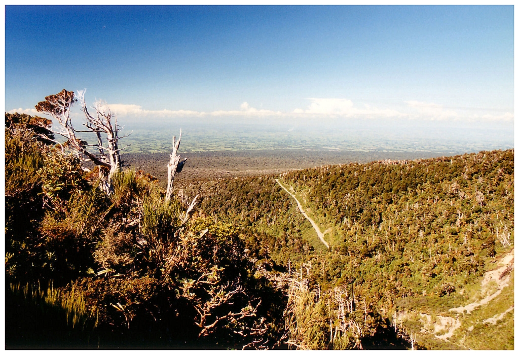 05 - Mt Egmont (9).jpg